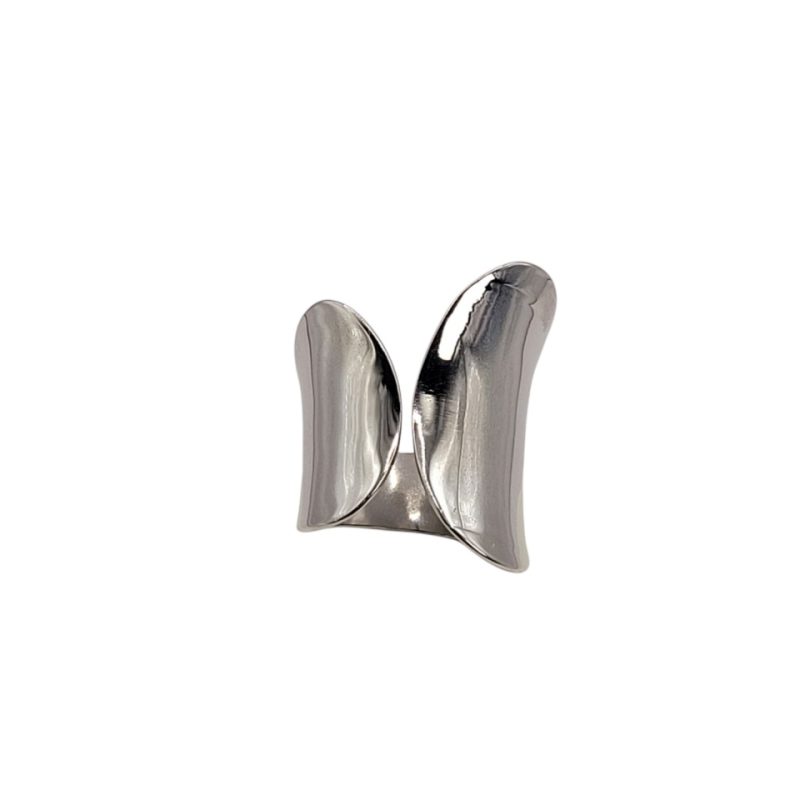 Stainless silver ring