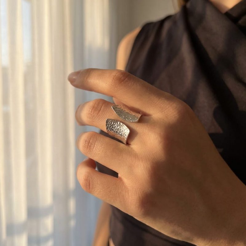 STRI00005-Terris-Silver-AmeTerre