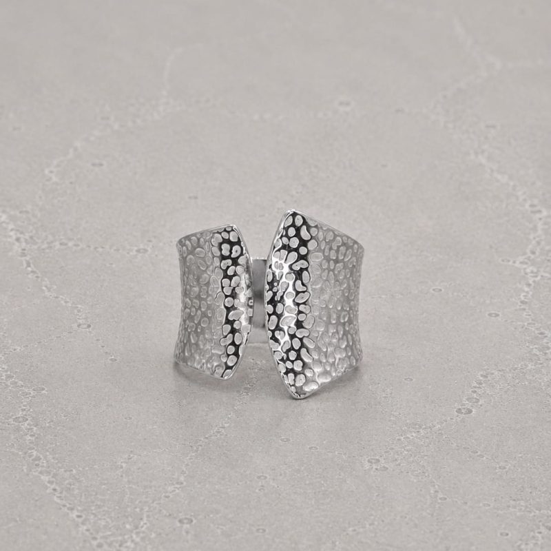 STRI5-Terris-Silver-AmeTerre