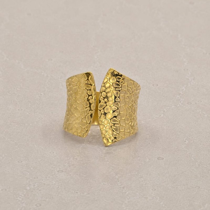 STRI6-Terris-Gold-AmeTerre