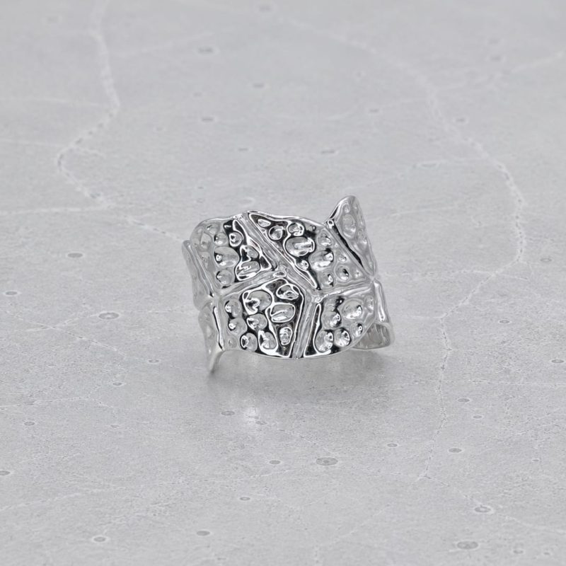 STRI15-Nativa-Silver-AmeTerre